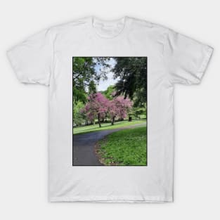 Villa Borghese Roma T-Shirt